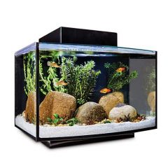 Imagitarium Platform Freshwater Aquarium Kit