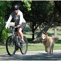 Pet Ego Universal Bike Cycleash, 18″ L X 2.5″ W