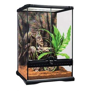 Exo-Terra Crested Gecko Kit, Small, 12″ L X 12″ W X 18″ H